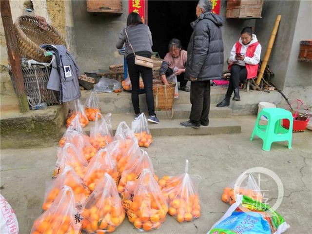 村主任朋友圈“带货”，帮农户卖完5000斤滞销柑橘